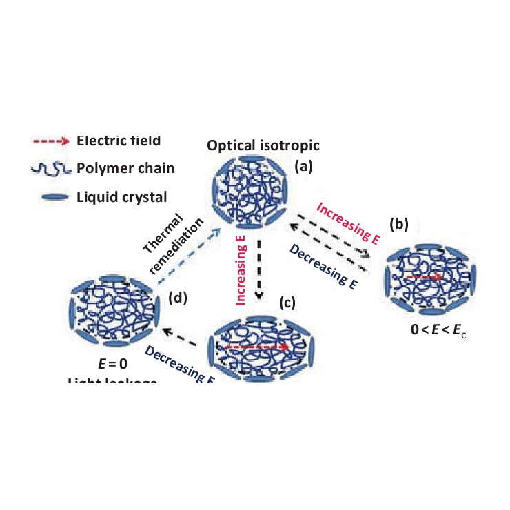 The Influence of polymer system on polymerstabilised blue phase liquid crystals WinGlobal